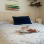 Comodo * Piza